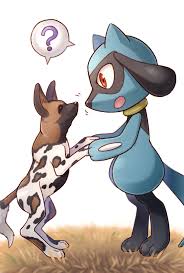 Would you love to name your cat after one of the characters? Riolu Meet A Real Dog Pokemon Know Your Meme