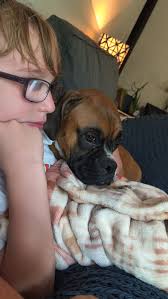 When Mum has taken you out and you are wet and want your food the only  thing to do is stand in the kitchen looking sad with a ball in your mouth.