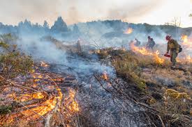 More than 19,600 wildland firefighters and support personnel are assigned to incidents. Interior Reduces Wildfire Risks On More Than 1 4 Million Acres Of Federal Land In 2019 U S Department Of The Interior