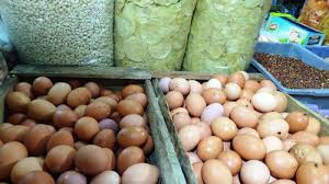 Meskipun menyandang nama burung, hewan satu ini tidak bisa terbang layaknya burung pada umumnya. Harga Telur Ayam Di Pasar Bogor Masih Diatas Normal Tribunnews Bogor