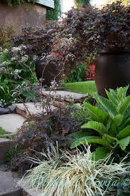 Ann Greg S Garden Oakland Ca Eyeofthelady Garden Landscape Design Beautiful Flowers Garden Cottage Garden