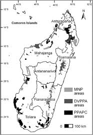 Image result for Hilsenbergia