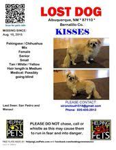 If you use the contact form, we'll contact you right away to help guide you. 34 Missing Ideas Losing A Dog Losing A Pet Find Pets