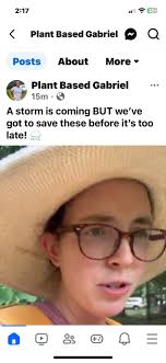 Poor parenting and low quality content in BR and Breck videos