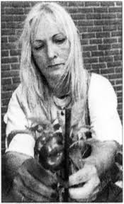 Mosquito carries disease