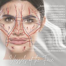 Fact: I'm an Anatomy & Physiology Geek 🤓 I Love to learn; constantly  refreshing and increasing my knowledge 📚 Since joining the industry I have  attended multiple Aesthetic courses/ masterclasses. Learning new