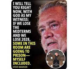 Voices of Democratic Women