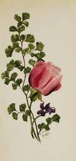 Roses Are Red Violets Are Blue What Are These Flowers Saying To You Smithsonian Gardens