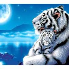 Macan putih adalah mutasi harimau bengal. Wallpaper Macan Putih 3d Tiger Pictures White Tiger Animals