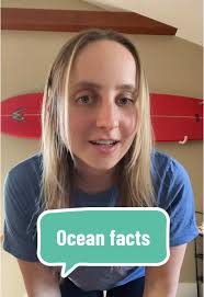 I'm happy we figured that out 😂😂 #seaturtles #turtles #bostonconnor ...