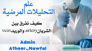 كيف نفرق بين الشريان Artery والوريد Vein علم التحليلات المرضية Facebook