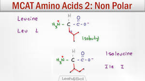 Mcat Amino Acids 2 Hydrophobic Non Polar Neutral Side Chains
