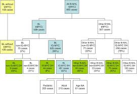 translocations involving 8q24 in burkitt lymphoma and other