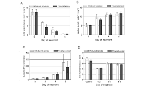 Obat ini diproduksi oleh perusahaan farmasi, yaitu, solas langgeng. Bioenergetic Metabolism Of Hela Cells Treated With Thiamphenicol Or Download Scientific Diagram