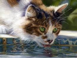 Yagli Boya Resmi Kedi Sanati Tablolar Sanat