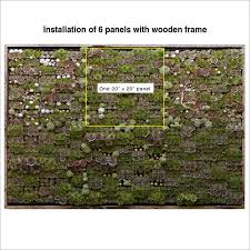Succulents are a natural choice for vertical gardens because they grow slowly and have low water the answer is no! Resources Vertical Panel Flora Grubb Gardens