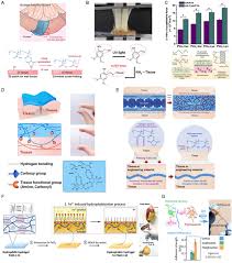 Image result for Tissue Adhesive