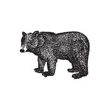Is a hidden gem, but by the looks of things, it won't stay hidden long. Black Bear Bread Co Home Facebook