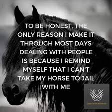 Riding gloves make a great gift that you know will be worn and worn again. Hoovesandlove Co Uk Horse Riding Quotes Horse Quotes Gifts For Horse Lovers