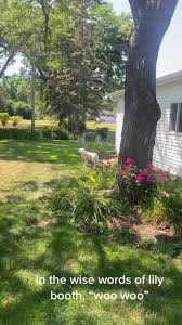 This post might be a little too political #labrador #mentalhealthmatters  #mentalhealthawareness #minecraft