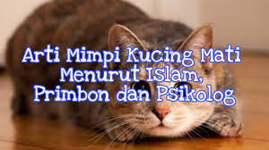 Maybe you would like to learn more about one of these? Arti Mimpi Kucing Mati Menurut Islam Primbon Dan Psikolog Youtube