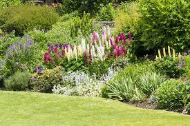 We did not find results for: 12 Garden Border Planting Ideas For Vibrancy Horticulture