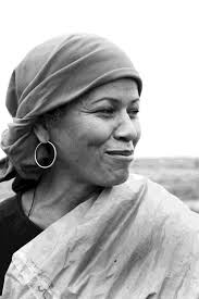 ST. PETERSBURG, FL (October 12, 2023) — The Museum of Fine Arts, St.  Petersburg (MFA), is pleased to announce the continuation