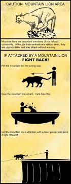 How To Fight Off A Mountain Lion, Probably (Image) | Huffpost Entertainment