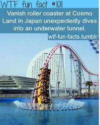 Cosmo Land Japan More Of Wtf Fun Facts Are Coming Here Funny And Weird Facts Only Wtf Fun Facts Fun Facts Weird Facts