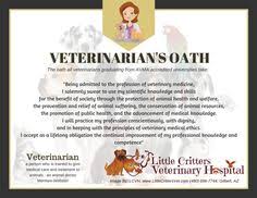 Did you use this practice before joining pet assure? 44 Pet Infographic Ideas Animal Infographic Veterinary Hospital Veterinary