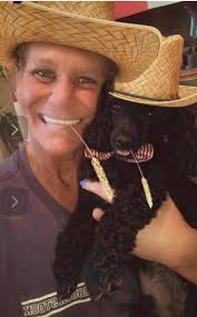 Adorable toy poodle photo shared by owner