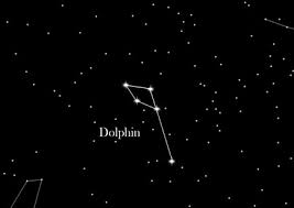 Name Your Own Star At Starling Global