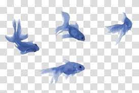 Aesthetic Grunge Four Blue Fishes Illustration Transparent Background Png Clipart Overlays Transparent Overlays Transparent Background Overlays Picsart