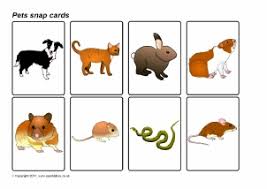 Pet Animals Chart Printable Pets Gallery