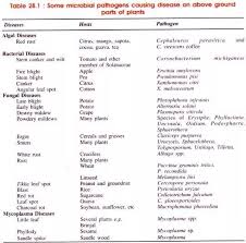 What Is The Name Of 20 Harmful Microorganisms With The