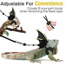 Save on standing plant holder. Adjustable Lizard Leash With Wings Pet Reptile Gecko Bearded Dragon Harness Strap Walmart Canada