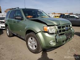 Image result for Kiwi Green 2010 Escape