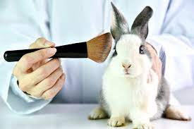 Canada To Make Cosmetic Testing On Animals Illegal