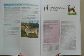 груминг полное руководство по уходу за 170 породами собак Gruming Polnoe Rukovodstvo Po Uhodu Za 170 Porodami Sobak Gison Ajlin Izdatelstvo Alfa Kniga
