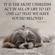 Hardest Thing I Ve Ever Had To Do Or Go Through Still Deal With It Pet Grief Animal Quotes Dog Quotes