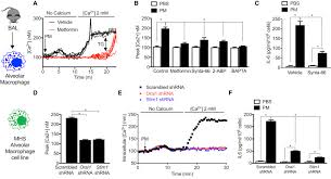 Get tips on restoring a deck by. Metformin Targets Mitochondrial Electron Transport To Reduce Air Pollution Induced Thrombosis Sciencedirect