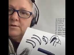 Nature Journaling with Alison Kent