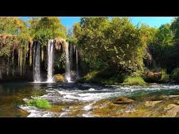 Discover more music, concerts, videos, and pictures with the largest catalogue online at last.fm. Relaxamento Musica Relaxante Sons Da Natureza Acalmar A Mente O Corpo E Relaxar Gato Coins