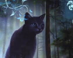 We have a massive amount of hd images that will make your. Warrior Cats Falconflight Novocom Top