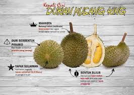 Untuk kalian yang ada di sekitaran jakarta. Facebook