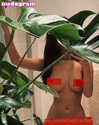 LottieLion  littlebitsoflottie  lottie.lion Nude Leaks OnlyFans Photo 1  - Nudogram v2.0