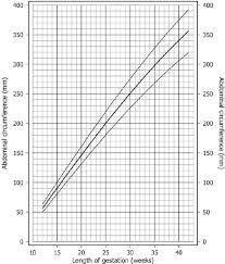 Abdominal Circumference Size Chart After Chitty Et Al 5