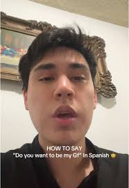 Do You Want to Be My Girlfriend in Spanish