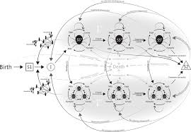 Image result for scabies transmission