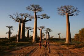 Os Simbolos De Angola Misterios Significados E Supersticoes